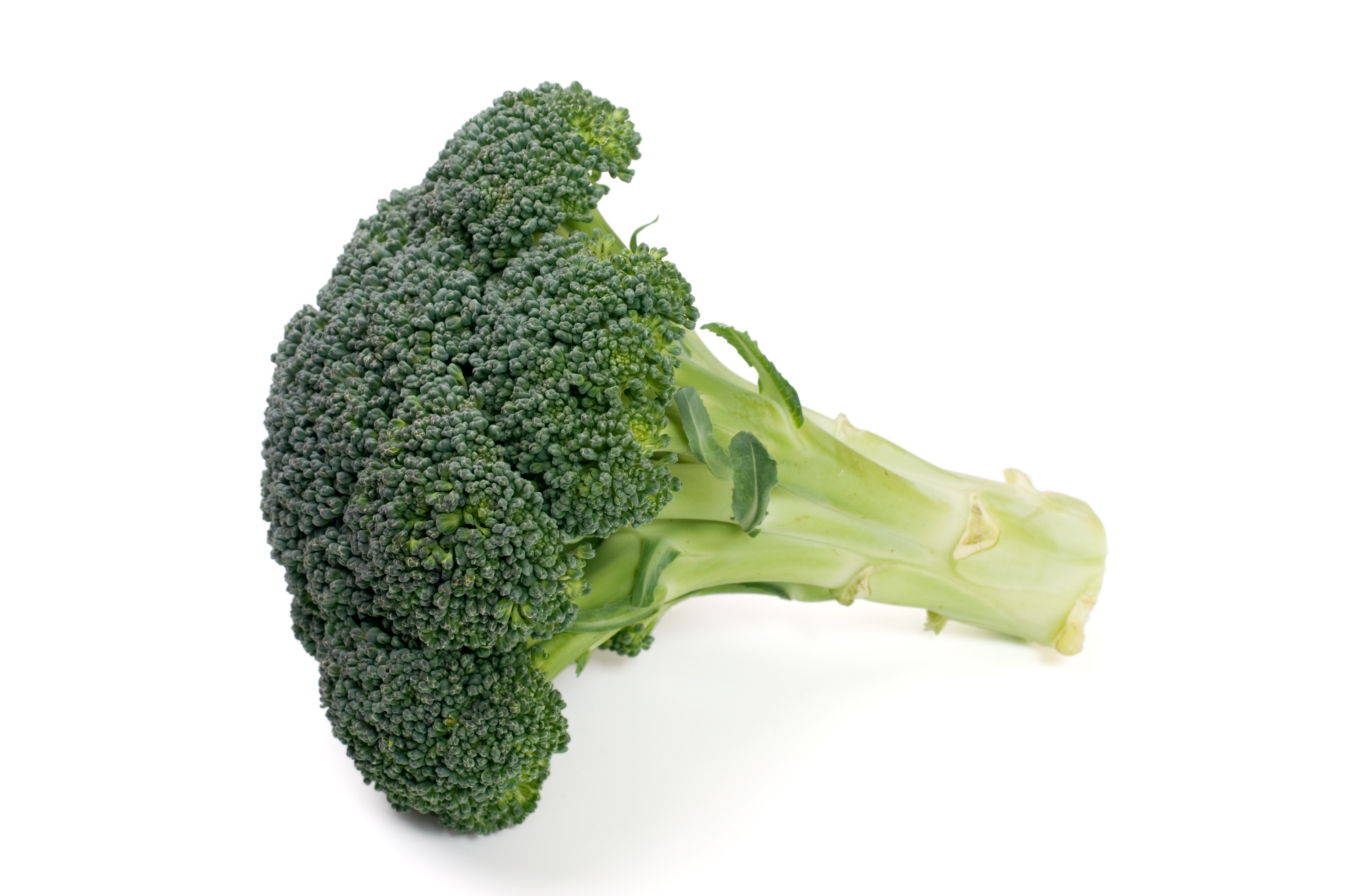 broccoli